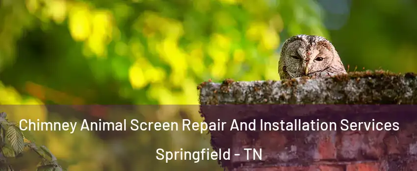  Chimney Animal Screen Repair And Installation Services Springfield - TN