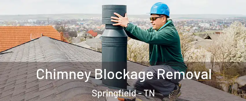  Chimney Blockage Removal Springfield - TN