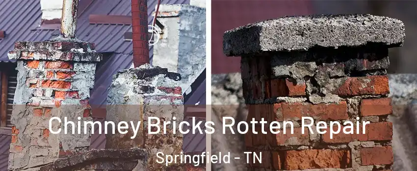 Chimney Bricks Rotten Repair Springfield - TN