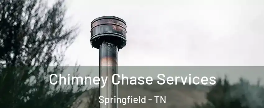  Chimney Chase Services Springfield - TN