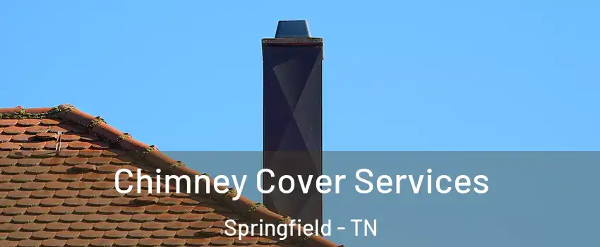  Chimney Cover Services Springfield - TN