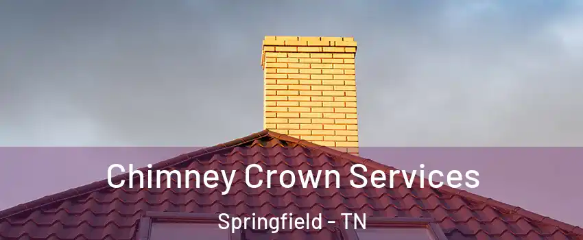  Chimney Crown Services Springfield - TN
