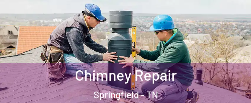  Chimney Repair Springfield - TN