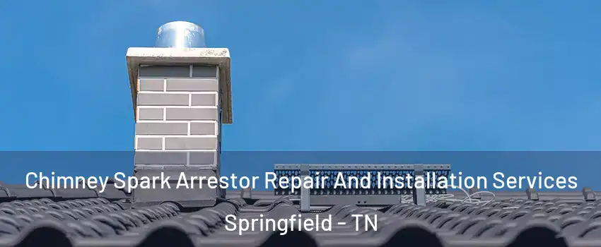  Chimney Spark Arrestor Repair And Installation Services Springfield - TN