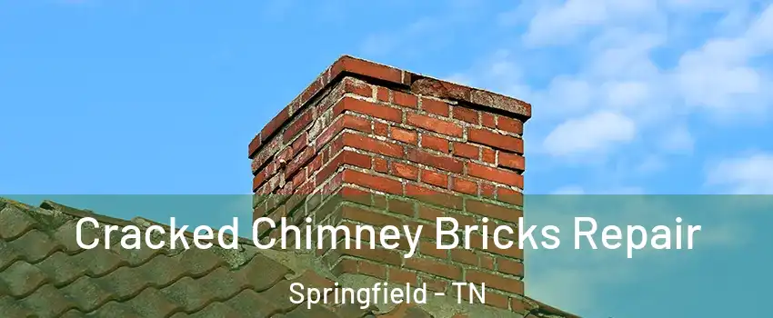  Cracked Chimney Bricks Repair Springfield - TN