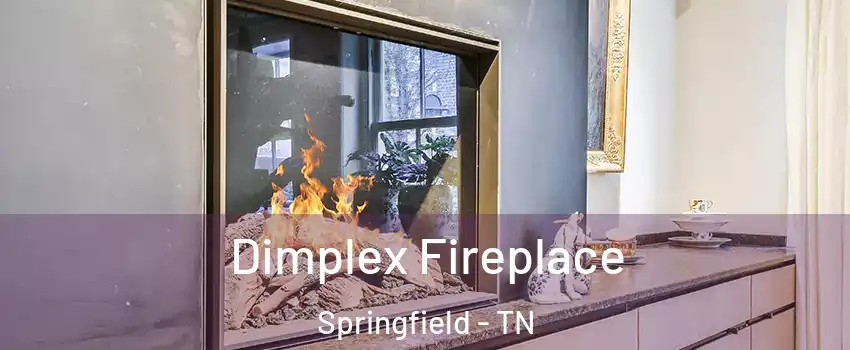  Dimplex Fireplace Springfield - TN