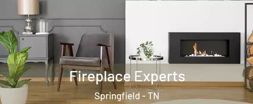  Fireplace Experts Springfield - TN