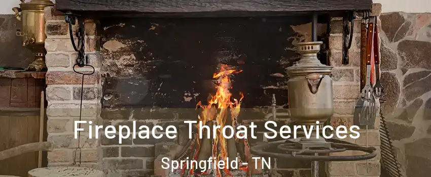  Fireplace Throat Services Springfield - TN
