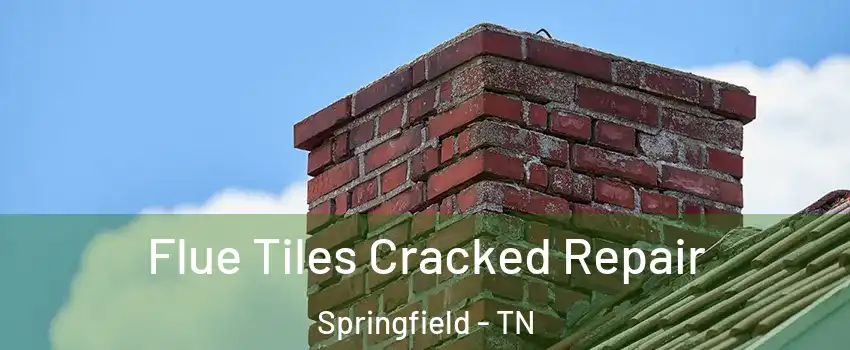  Flue Tiles Cracked Repair Springfield - TN