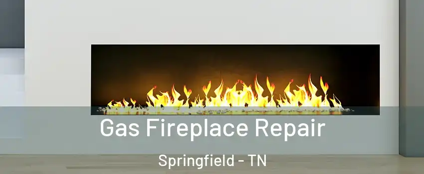  Gas Fireplace Repair Springfield - TN