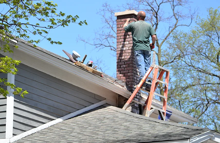 Chimney & Fireplace Inspections Services in Springfield, TN