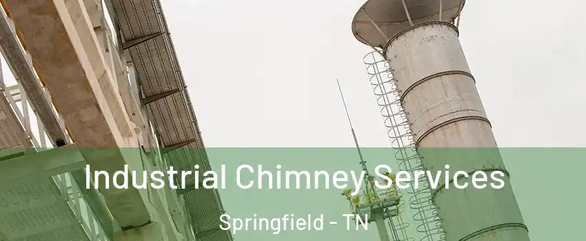  Industrial Chimney Services Springfield - TN