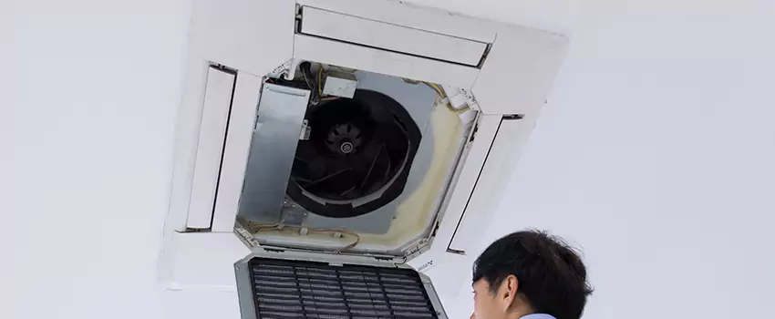 Benefits of Professional Air Duct Cleaning in Springfield, Tennessee